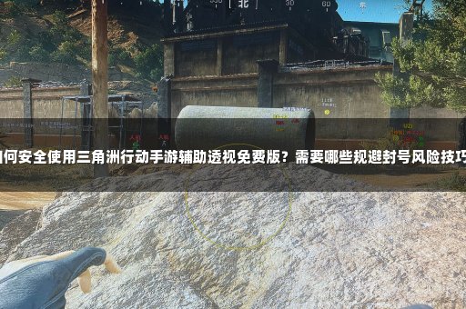 如何安全使用三角洲行动手游辅助透视免费版？需要哪些规避封号风险技巧？